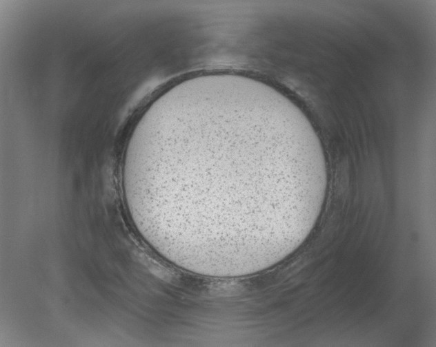 X0000080711454200701021016