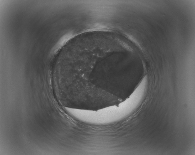 X0000080711455200701021016