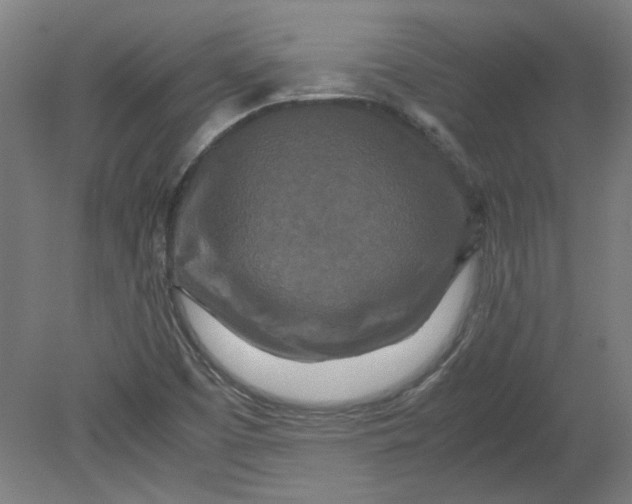 X0000080711457200701021016