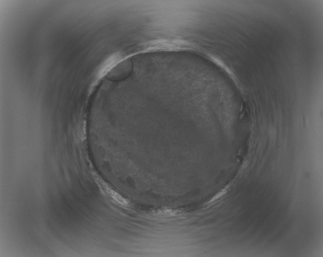 X0000080711459200701021016