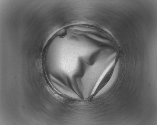 X0000080711460200701021016