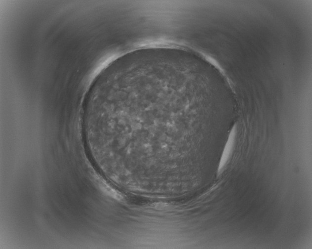 X0000080711463200701021016