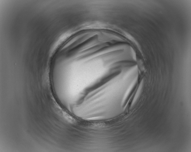 X0000080711464200701021016