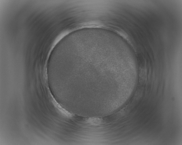 X0000080711466200701021016