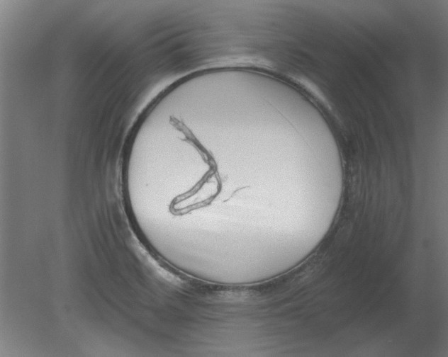 X0000080711468200701021016