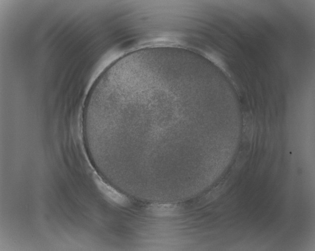 X0000080711474200701021016