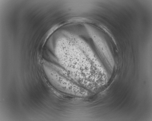 X0000080711481200701021015