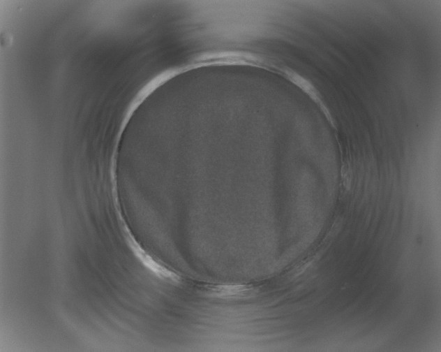 X0000080711482200701021015