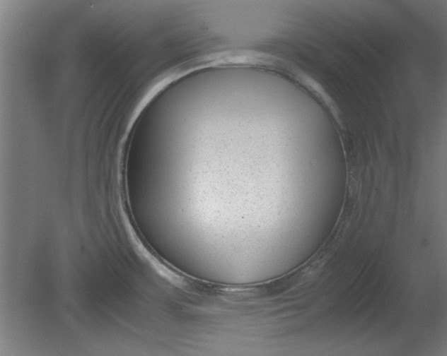 X0000080711483200701021015