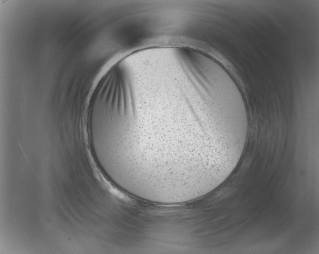 X0000080711486200701021015