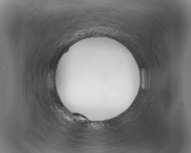 X0000080711491200701021015