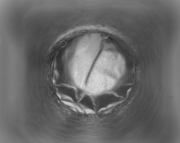 X0000080711494200701021015