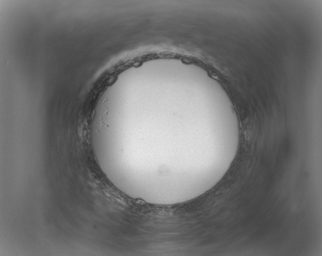 X0000080711495200701021015