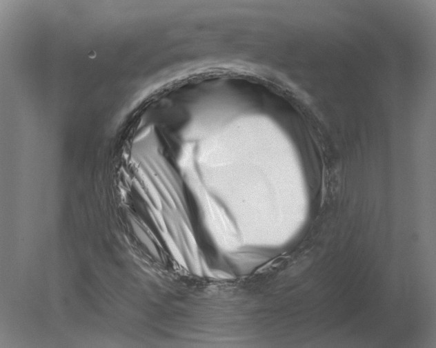 X0000080711496200701021015