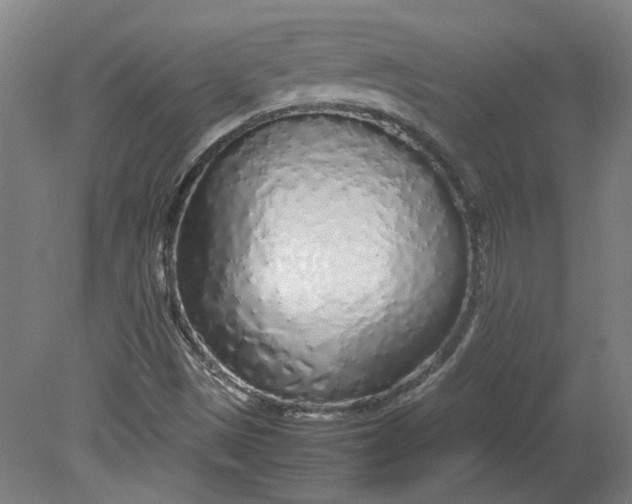 X0000080711497200701021015