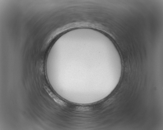 X0000080711499200701021015