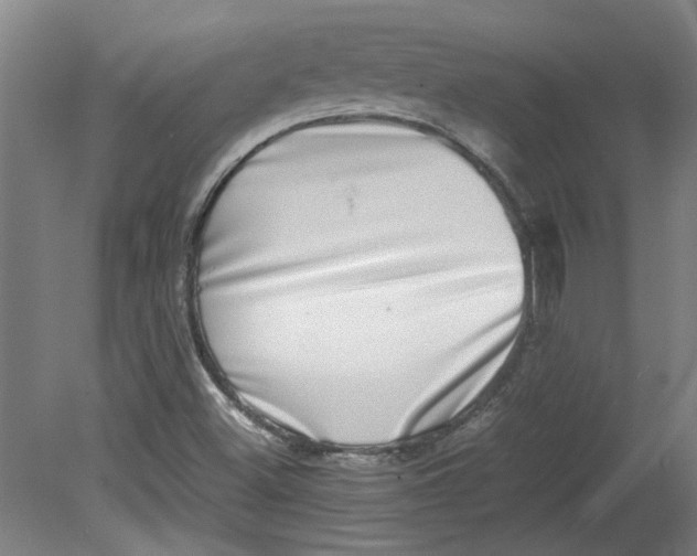 X0000080711500200701021015