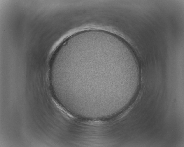 X0000080711502200701021015