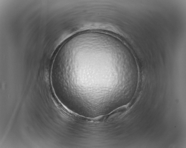 X0000080711505200701021015