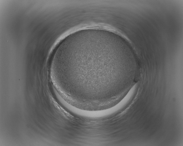 X0000080711506200701021015