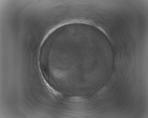 X0000080711508200701021015