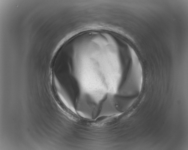 X0000080711509200701021015