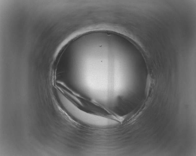 X0000080711510200701021015