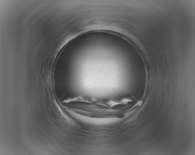 X0000080711513200701021015