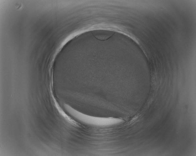 X0000080711515200701021015