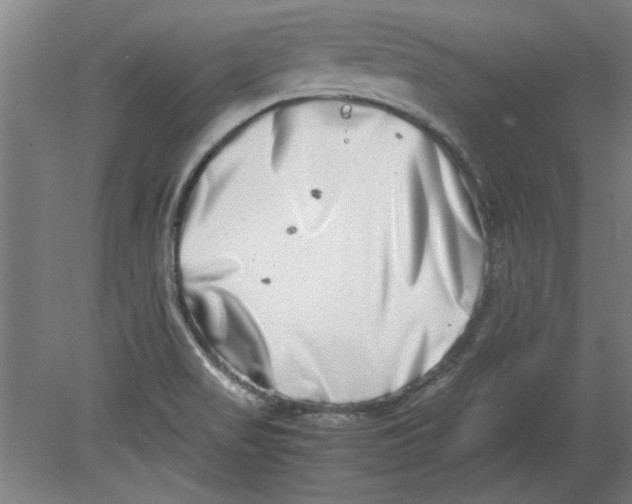 X0000080711517200701021015