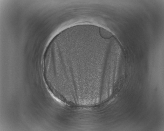 X0000080711519200701021015