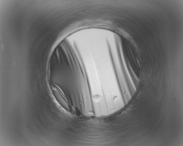 X0000080711520200701021015