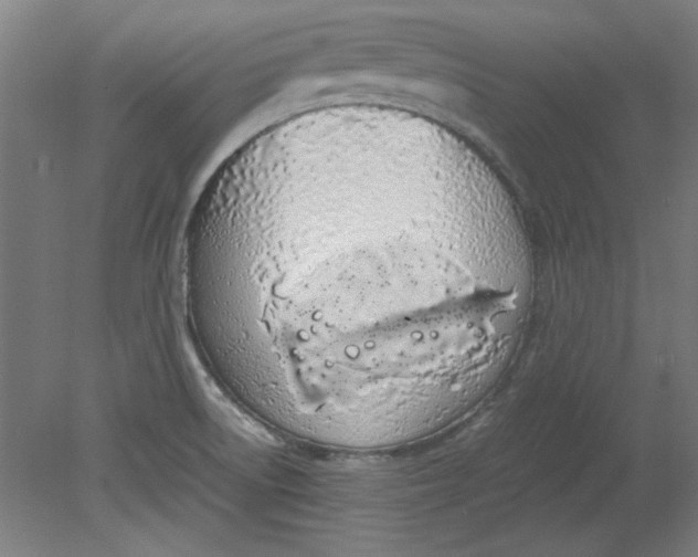 X0000080711522200701021015