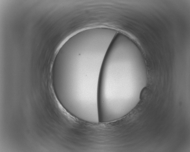 X0000080711524200701021015