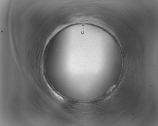 X0000080711525200701021015