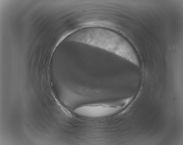 X0000080711529200701021015