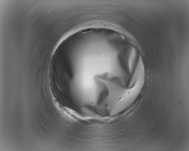 X0000080711530200701021015