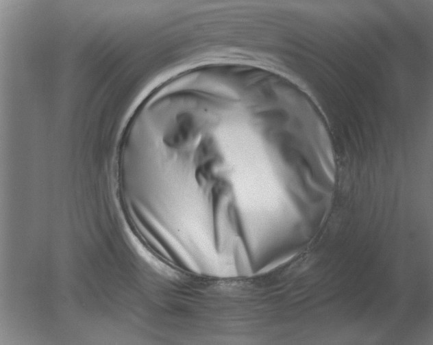 X0000080711531200701021015