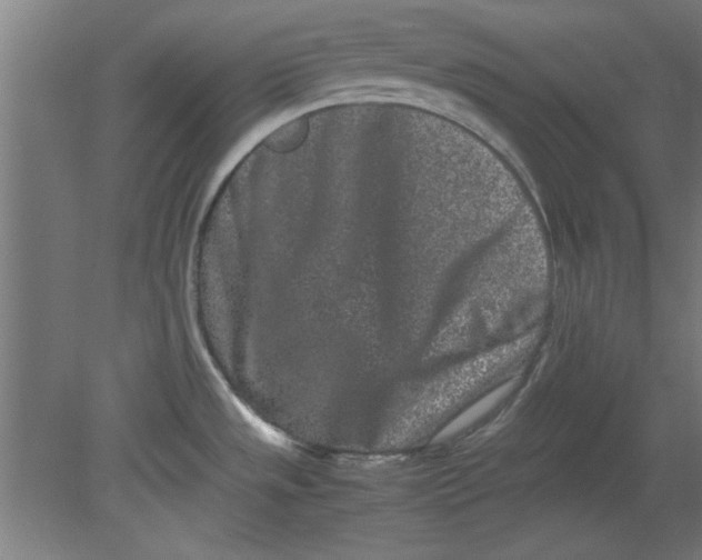 X0000080711533200701021015