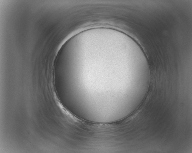 X0000080711534200701021015