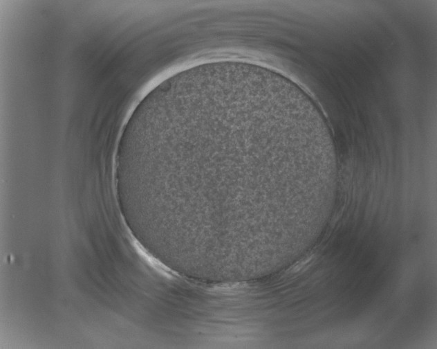 X0000080711535200701021015