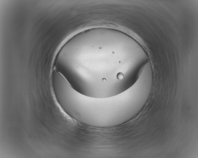 X0000080711536200701021015