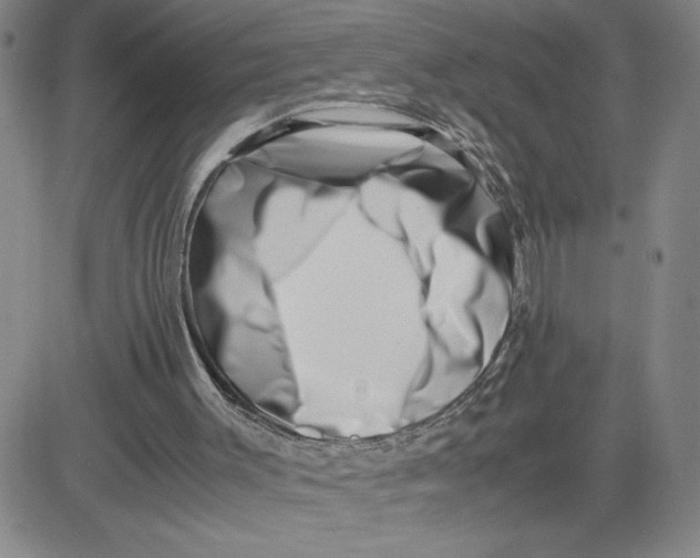 X0000080710003200701051021