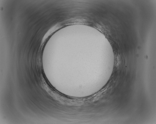 X0000080710004200701051021