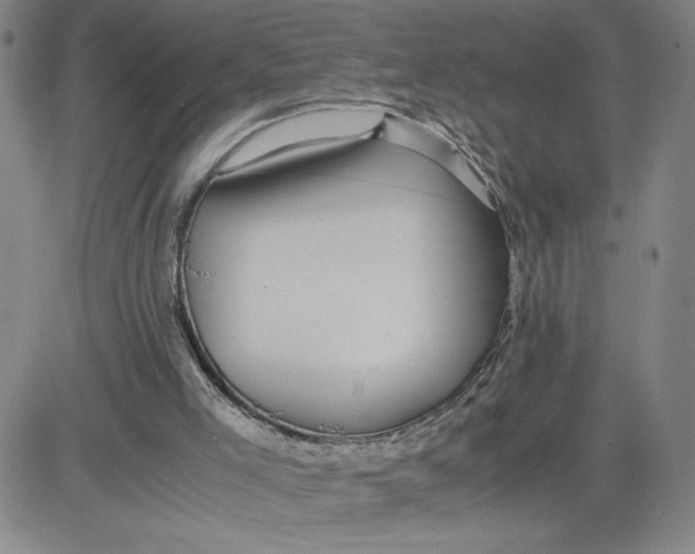 X0000080710005200701051021