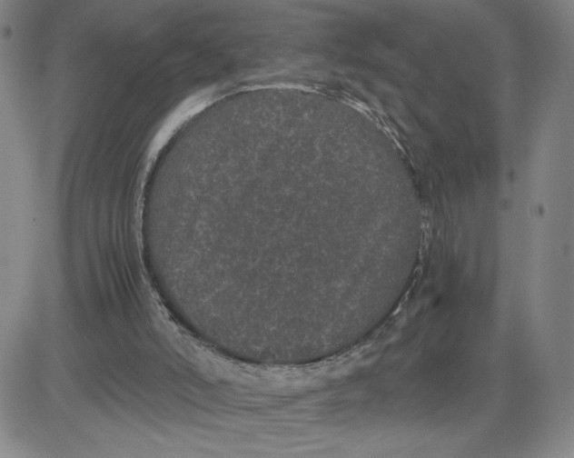 X0000080710006200701051021