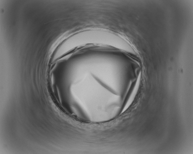 X0000080710007200701051021