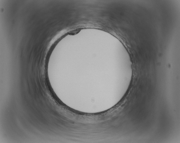 X0000080710008200701051021