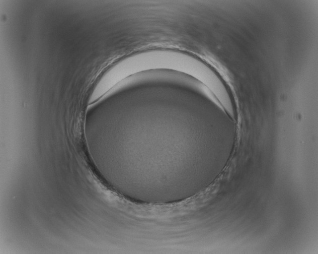 X0000080710009200701051021