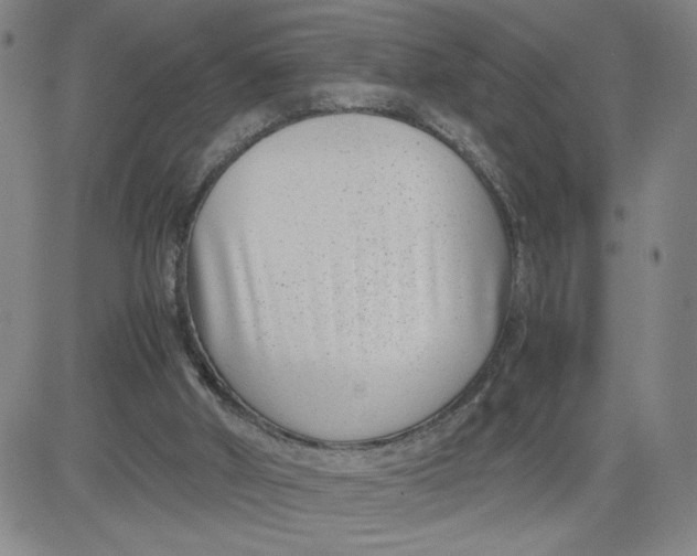 X0000080710010200701051021